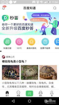 九一网页版免费在线电脑网页版